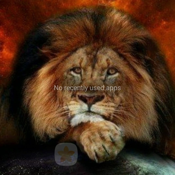 Meet your Posher, Karen - Picture 1 of 1